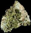 Lustrous, Epidote Crystal Cluster - Morocco #49410-1